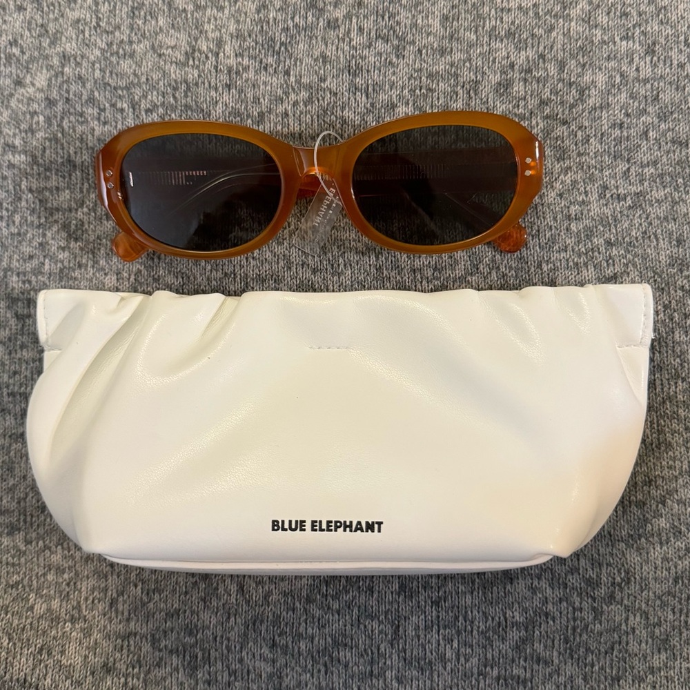 Blue Elephant Garden Pumpkin Sunglasses